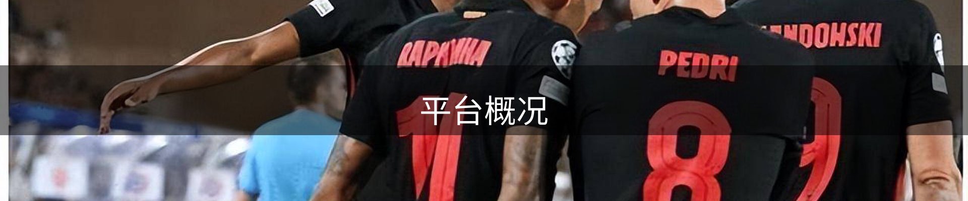 平台概况
