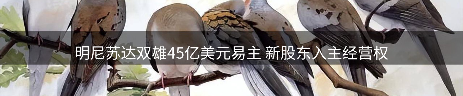 体育资讯