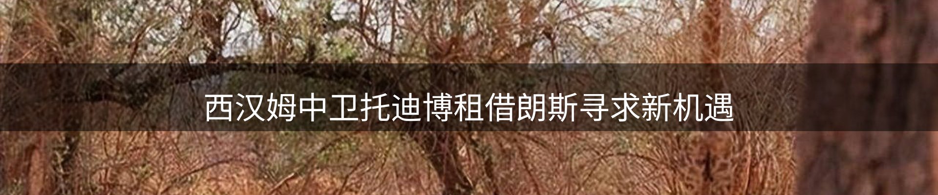 行业盘点